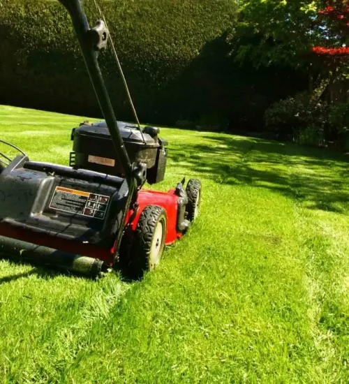 Lawn Care & Maintenance